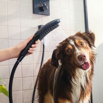 Käsisuihku Hansgrohe DogShower 150 3jet mattamusta