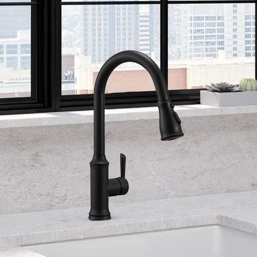 Keittiösekoitin Wasser Eclectic Onyxin ulosvedettävä käsisuihku